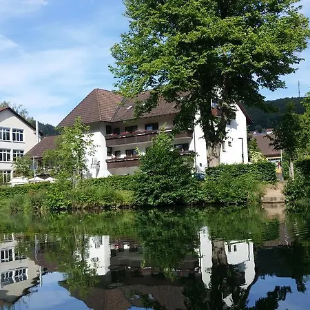 Schiff Nagold