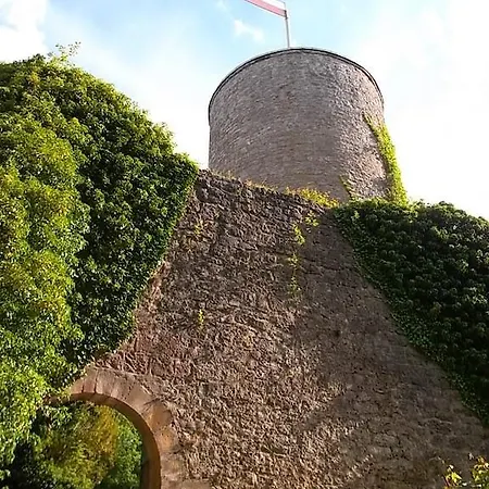 Schiff Nagold