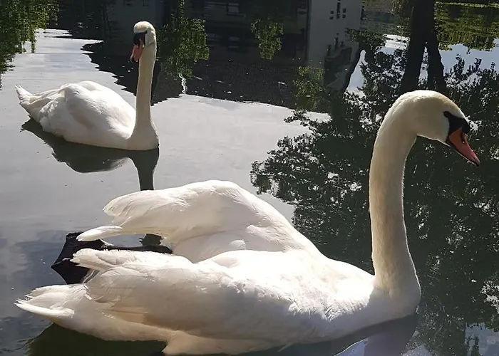 Schiff Ξενοδοχείο *