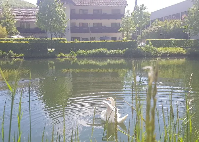 Ξενοδοχείο Schiff *