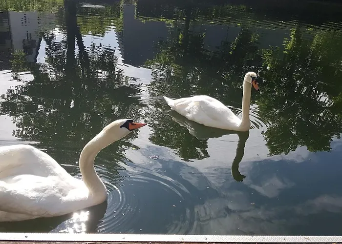 Schiff Ξενοδοχείο Nagold