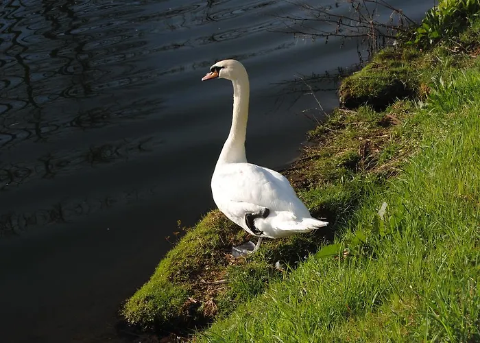 Ξενοδοχείο Schiff