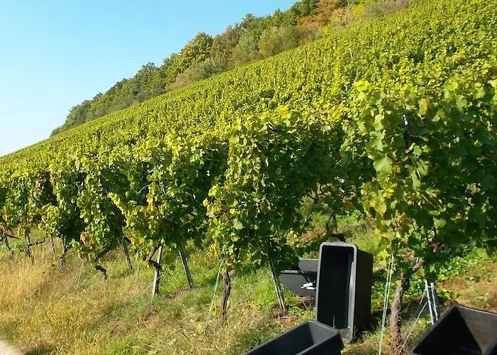 Ξενοδοχείο Schiff Nagold